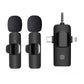 K15 3-in-1 Dual Microphone System